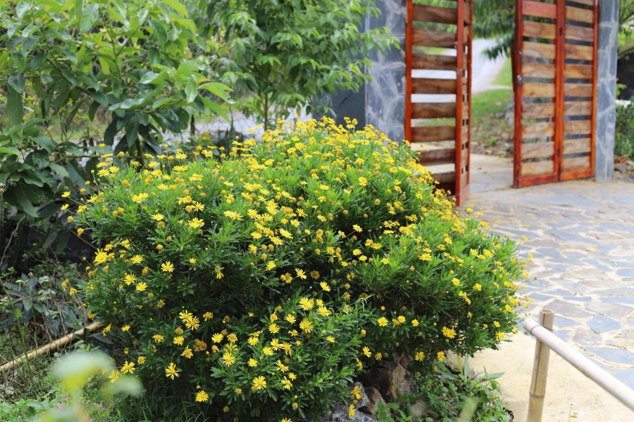 Moc Chau Peachy Garden Διαμέρισμα Εξωτερικό φωτογραφία