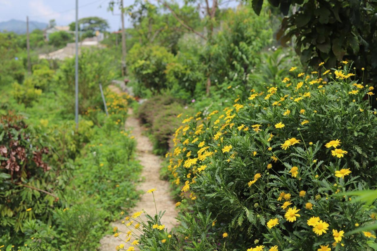 Moc Chau Peachy Garden Διαμέρισμα Εξωτερικό φωτογραφία