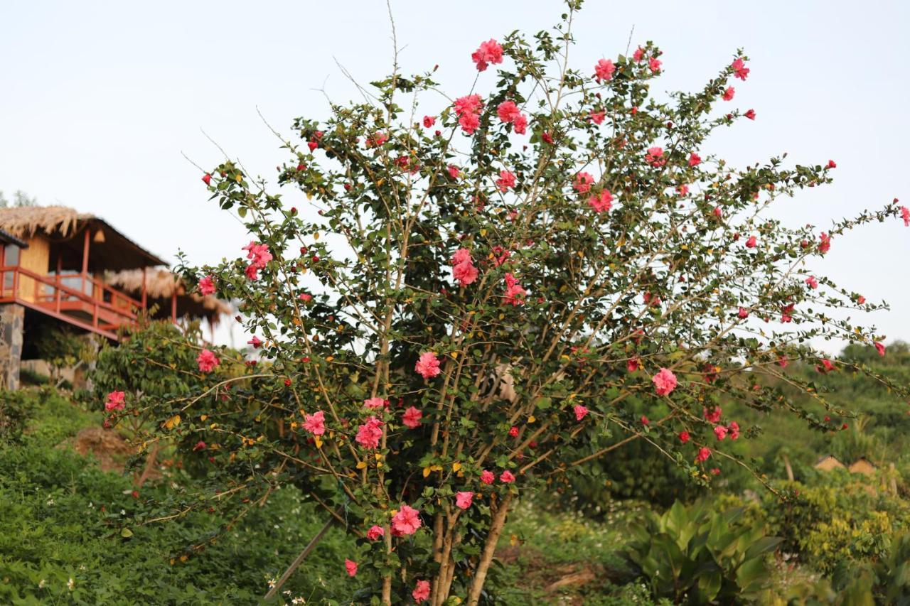 Moc Chau Peachy Garden Διαμέρισμα Εξωτερικό φωτογραφία