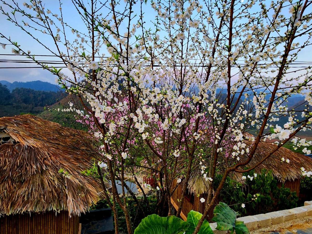 Moc Chau Peachy Garden Διαμέρισμα Εξωτερικό φωτογραφία