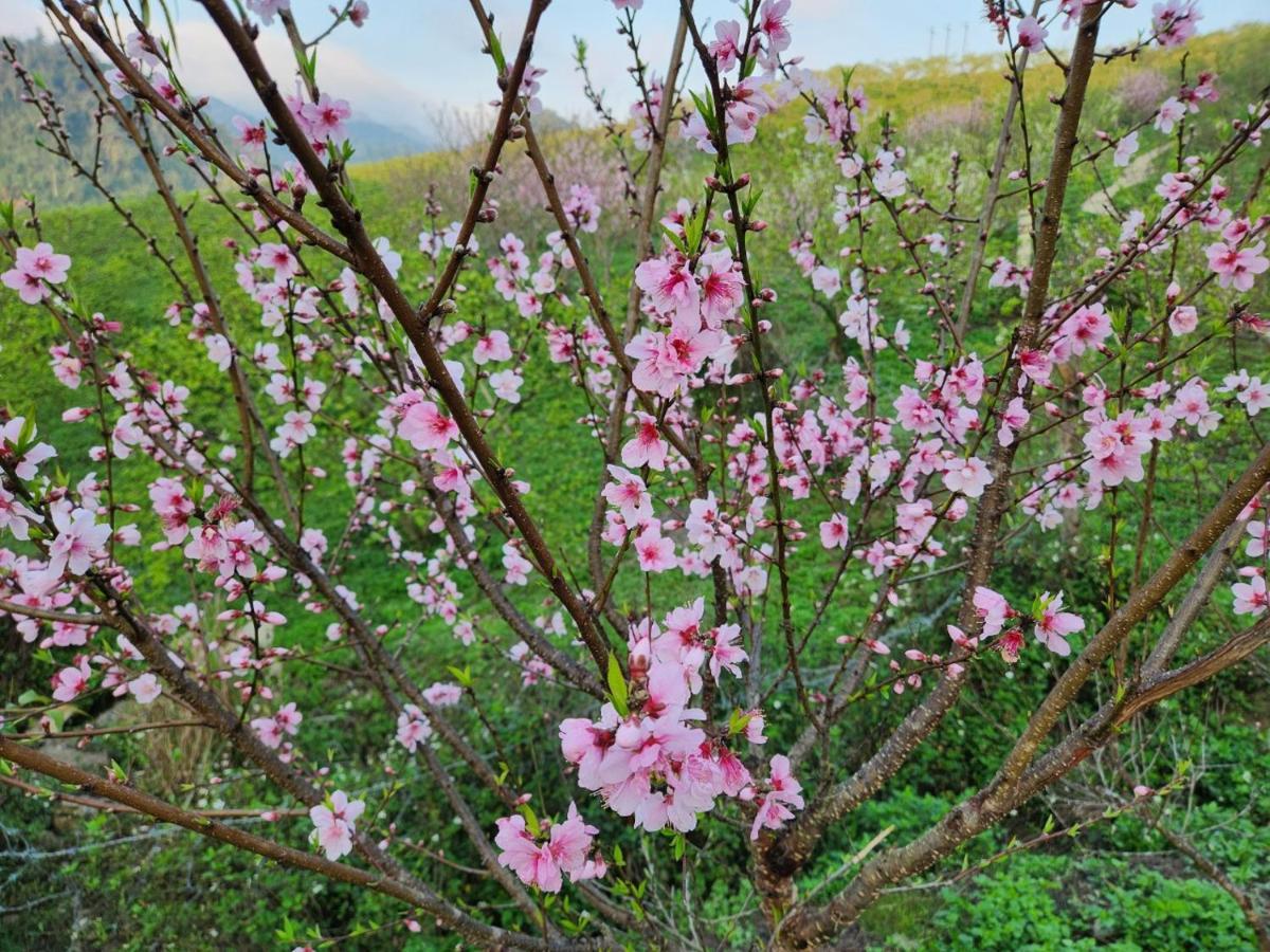 Moc Chau Peachy Garden Διαμέρισμα Εξωτερικό φωτογραφία