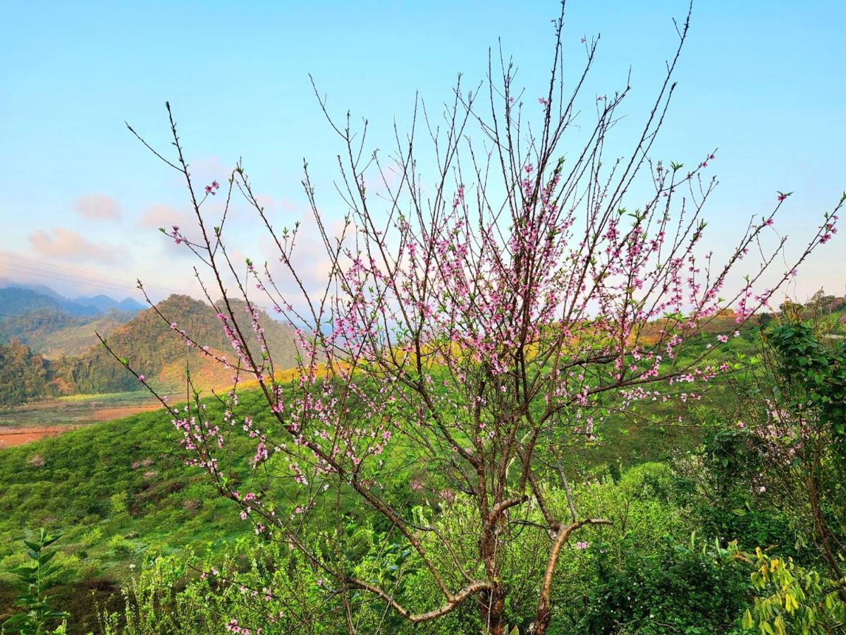 Moc Chau Peachy Garden Διαμέρισμα Εξωτερικό φωτογραφία