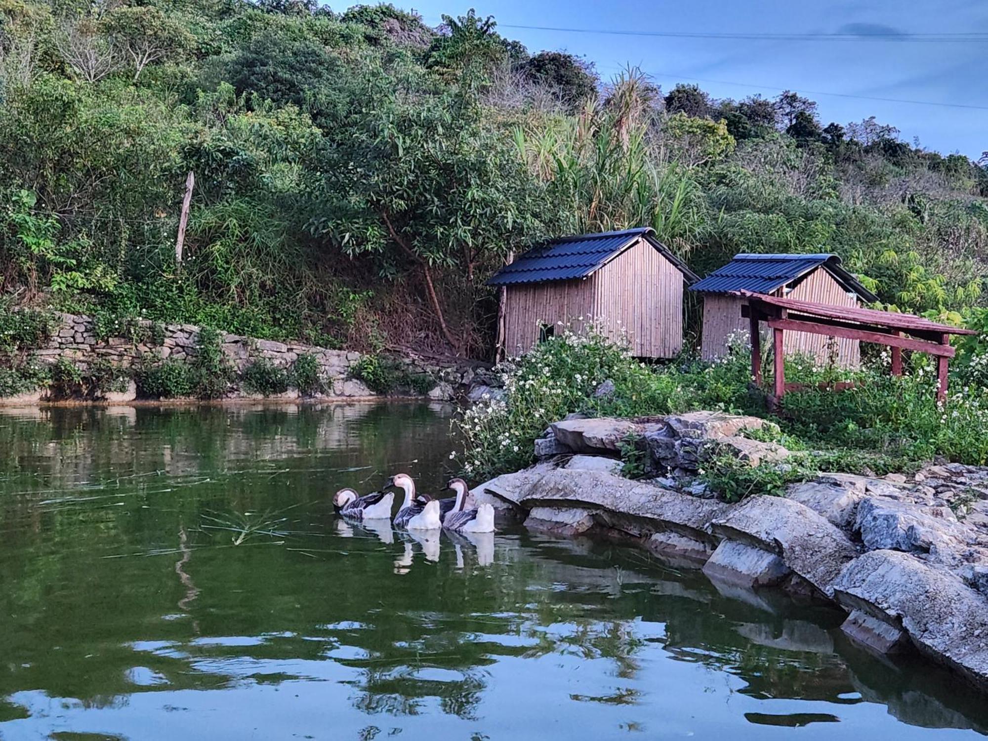Moc Chau Peachy Garden Διαμέρισμα Εξωτερικό φωτογραφία
